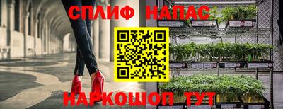 гашик Краснодар