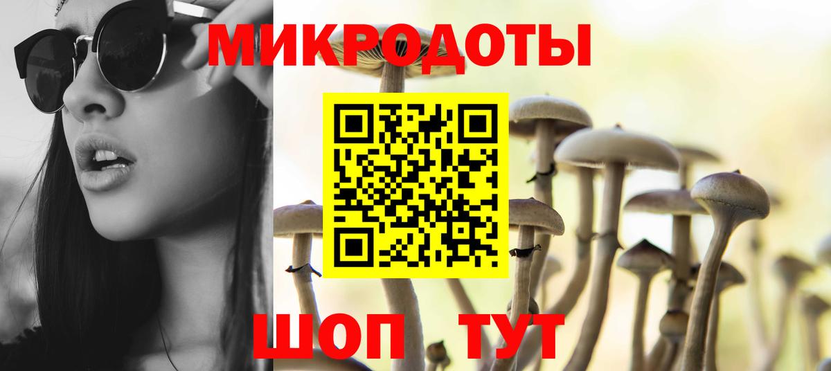 Ковров  Галлюциногенные грибы прущие грибы  Вход с VPN 